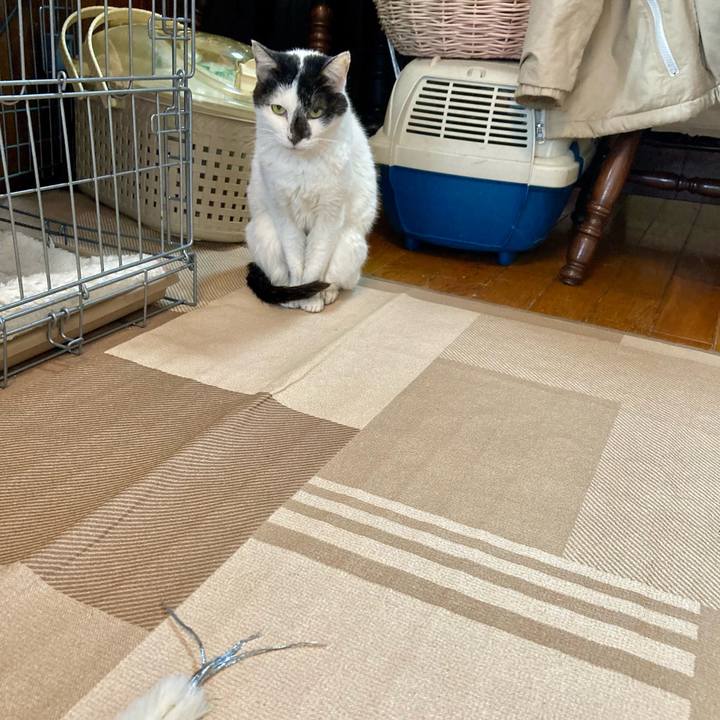 04b1d261 8c15 449d b799 d68574e225e7 1709420441267