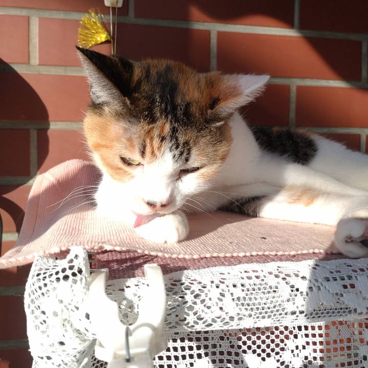 04b1ea3c ddf2 4a69 973a 28c7fa594359 1758266839351