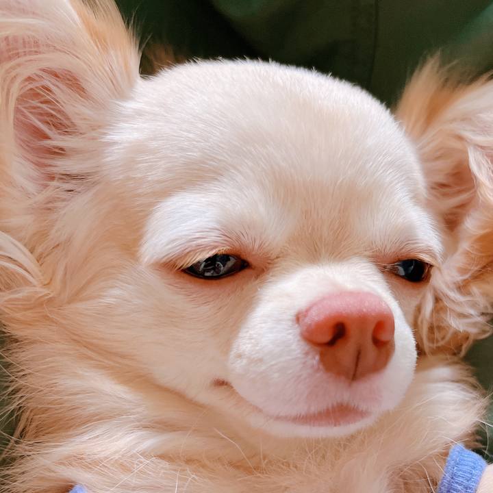 04b25150 30ad 4d90 bc24 94efb8e6bdac 1658200231336