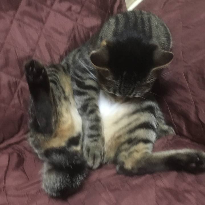 04b2aa08 f82c 44c2 a84e 1c179da76fe1 1542888542356