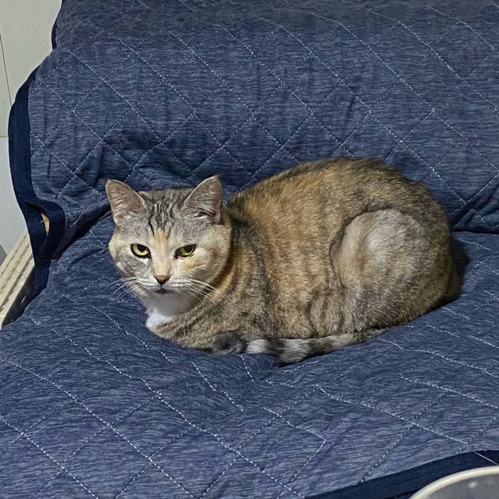 04b2ae6d e34f 422c 8d57 17d16996094e 1712059424127