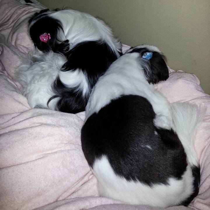 04b2bcfc 044a 41b4 aff9 dd50cf40d45a 1723693613040