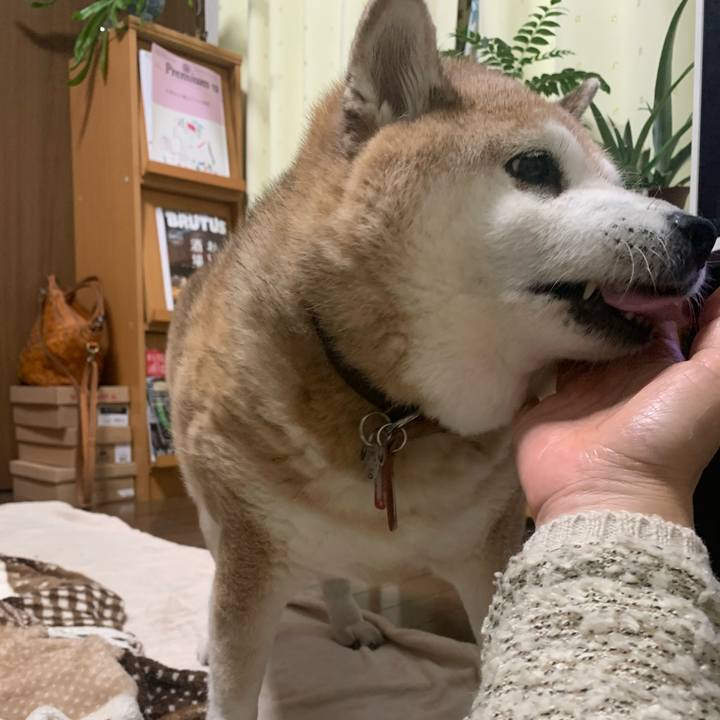 04b2da91 4b1c 40ad 887f 8740d631362e 1606295313066