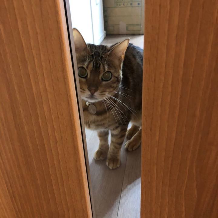 04b2e862 bc85 4d58 ad4e bf0d251e90a5 1583064373986