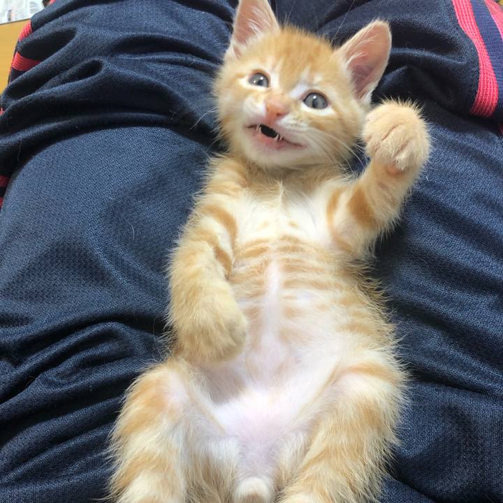 04b304c8 2414 4e7e 9cfa 4ac404c4fe05 1561293932256