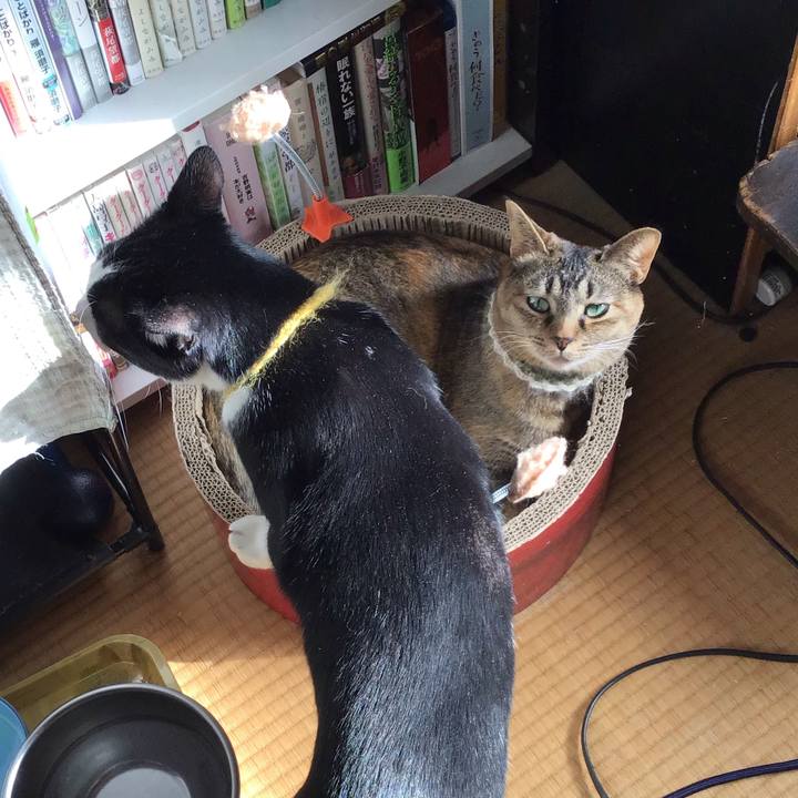 04b319f5 a9bf 4e95 ac3c 232690555936 1648003780240