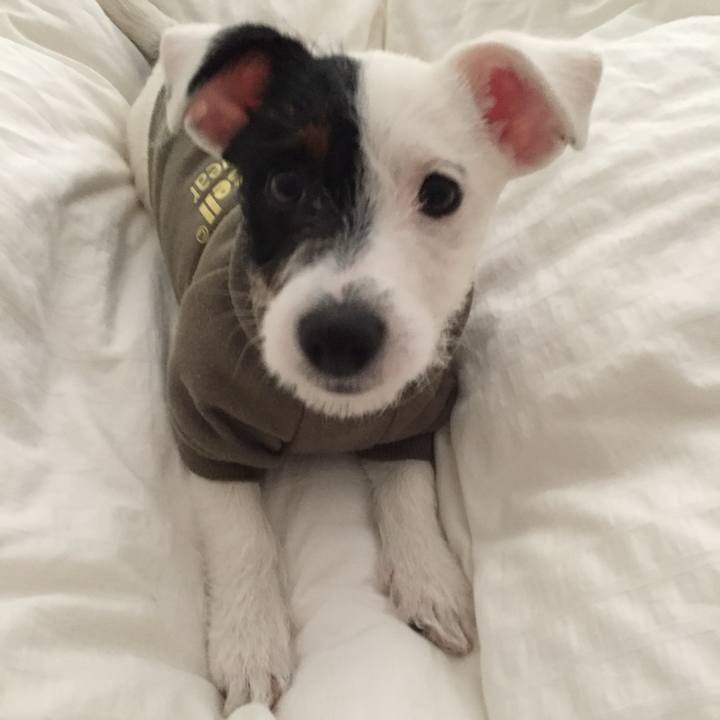 04b3707a 8285 44c0 ae3f efe7c7755f05 1772876907423