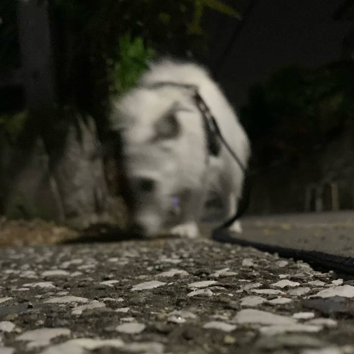 04b372ae 9e54 4831 a6e7 20b033f95c88 1716553726792