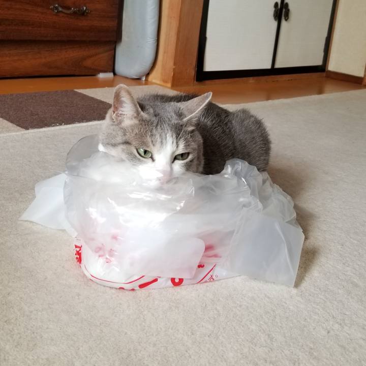 04b375b8 e738 4f32 b922 844afa8bf793 1681607253450