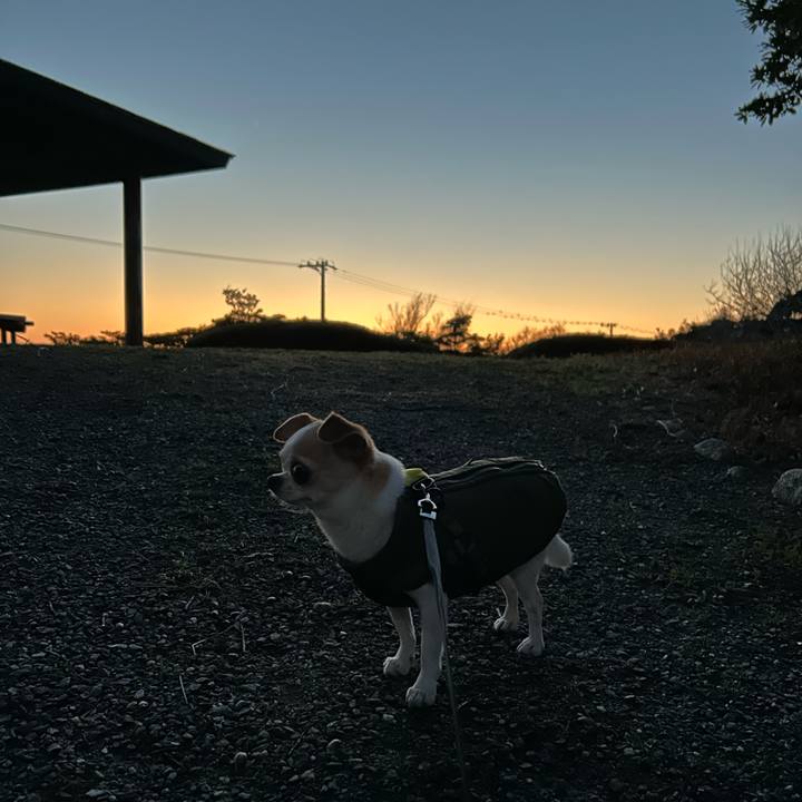 04b37ff4 eece 46ea 9b5f 7a519cc3789f 1772356641482