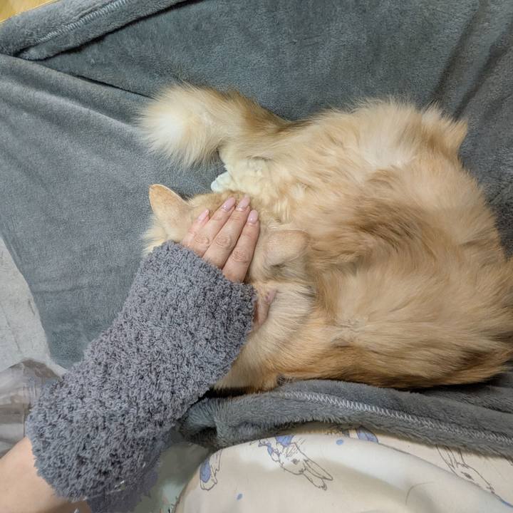 04b3cd8c 8611 4d59 bab8 f1f87ef3c2c9 1767366918609