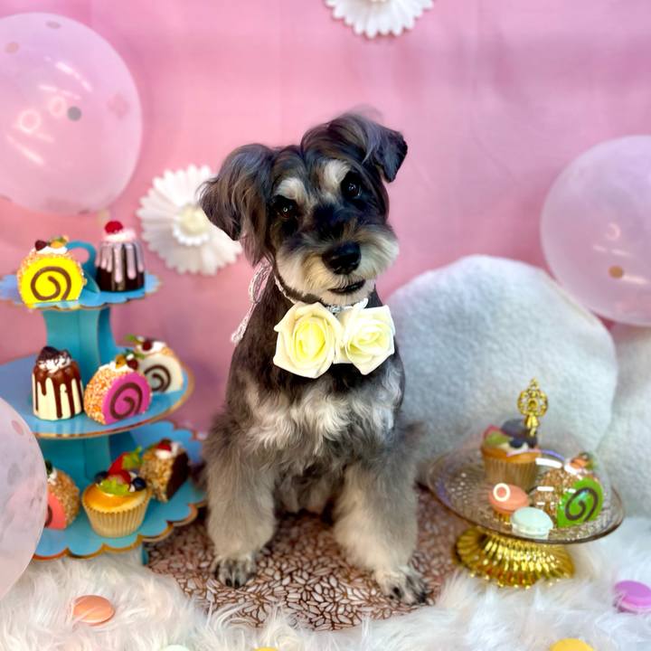 04b3d465 cc74 4d1a 99a8 68635e0229dd 1696655233905