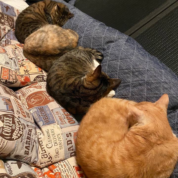 04b3e7f3 247d 4fee 8b5f b6c99fe510be 1585504041305