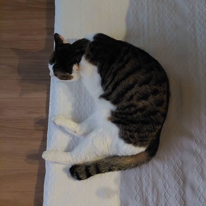 04b3e947 53c1 4d5b bad1 58c907185fe7 1632774363143