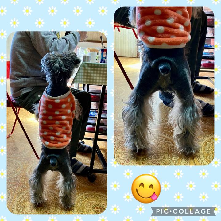 04b3f4df 26f5 490a 83b0 5ce6d3c1e1bf 1740896271386