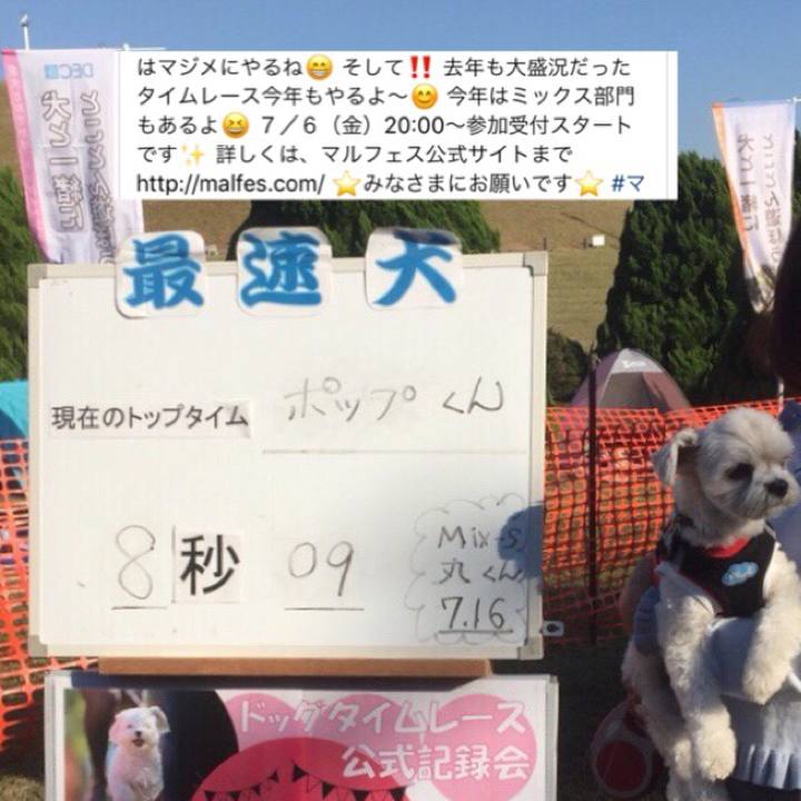 04b40c40 a088 41ad 9d75 5afe4d9125b9 1531051497231