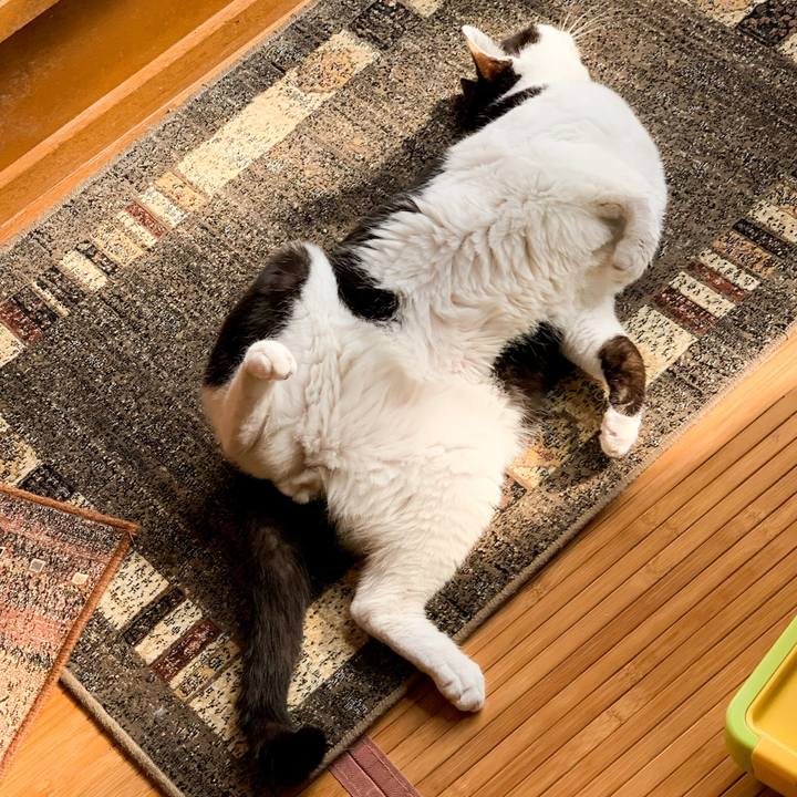 04b447a8 f063 4813 92e7 e185786a7309 1590886760092