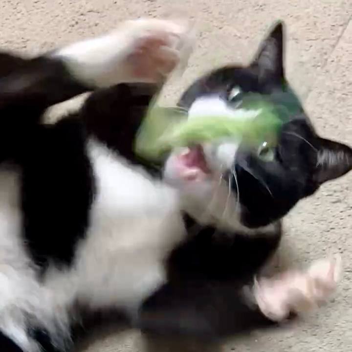 04b44ab4 278c 4a51 a236 d0c74b0f9bbe 1739585530024