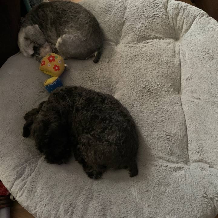 04b45193 9da7 48e4 a38a 3814d947286a 1683676091316