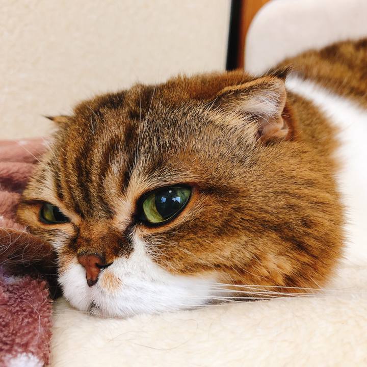 04b4673c 81dd 47b9 aae0 b10f500e9dd4 1609385771737