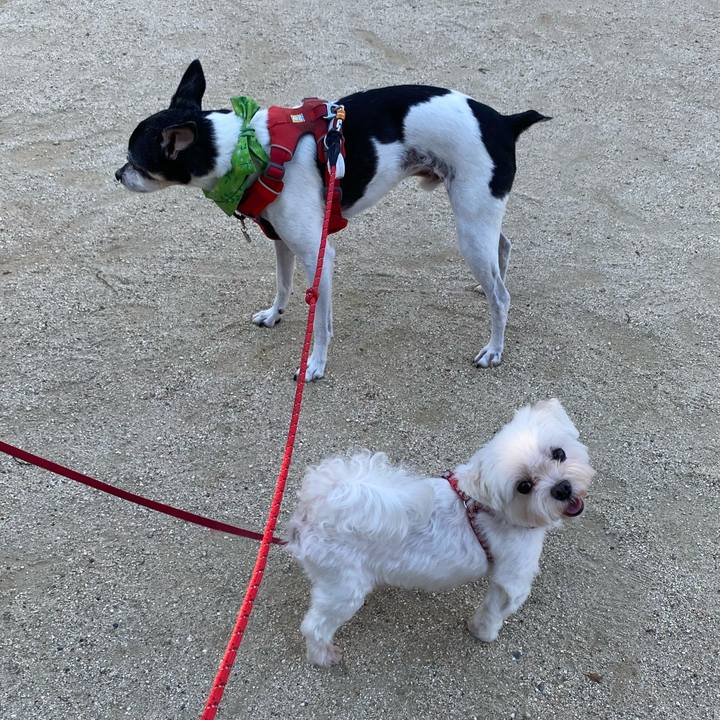 04b483f7 2f04 4642 ae6d 961435aa8cd7 1626818769038