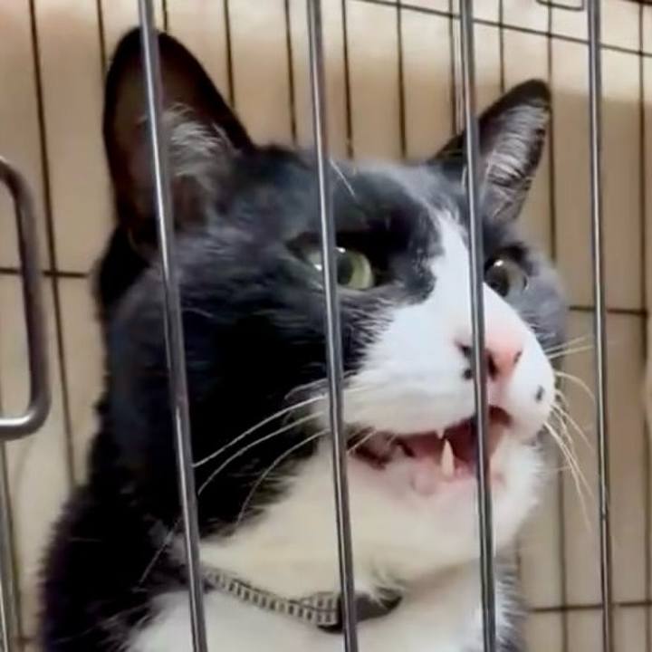 04b4974b b0ca 4a59 9e1e aeeadec89542 1743987501331