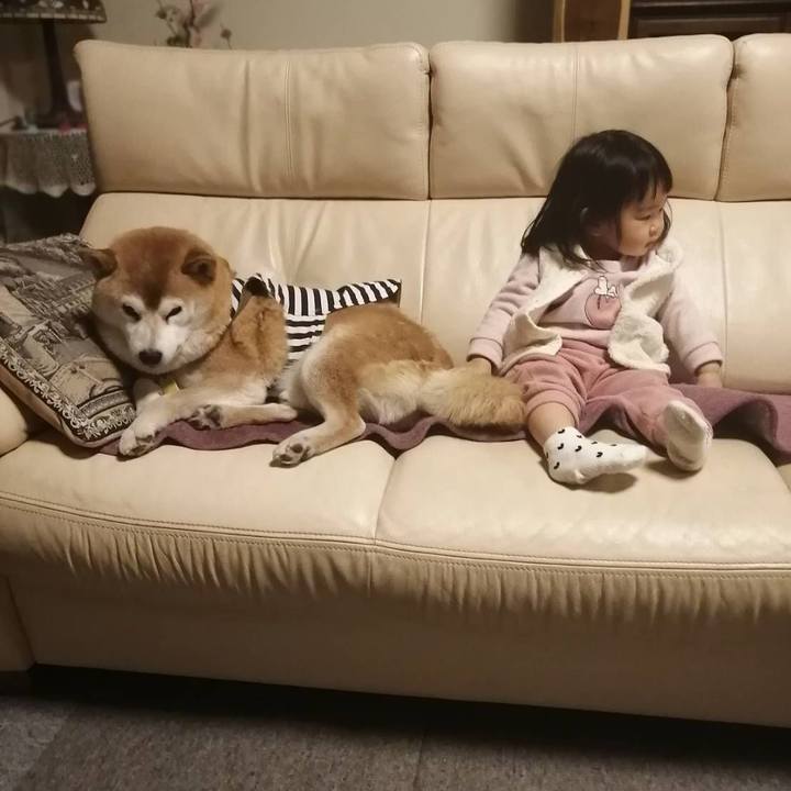 04b4bebe 043b 4f3a 8c2f a0ba44d5ac79 1642411859406