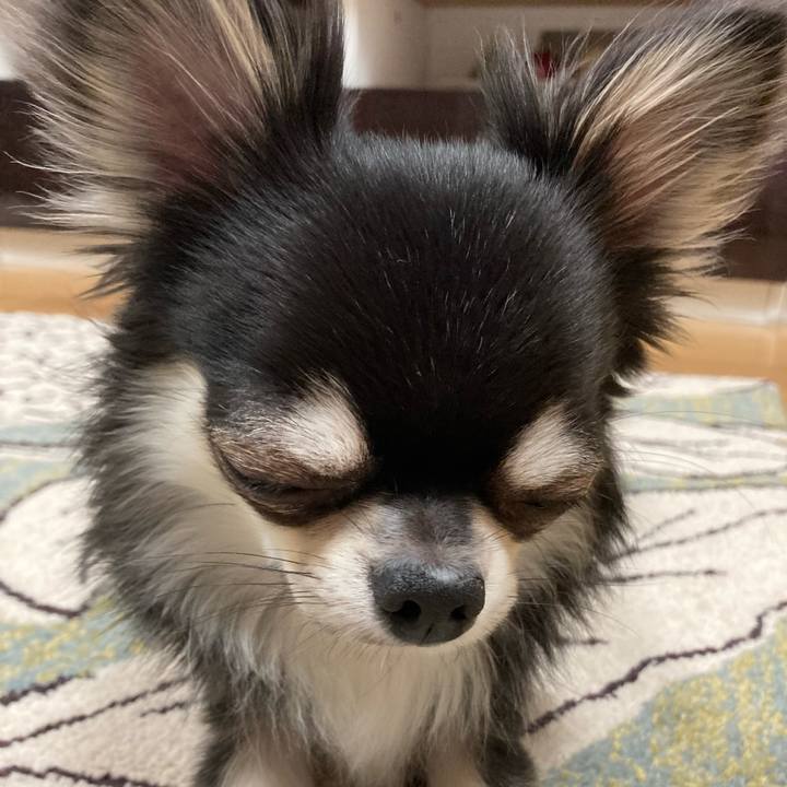 04b4c315 1de0 4a33 a0be f0c0af7ea687 1623505271437