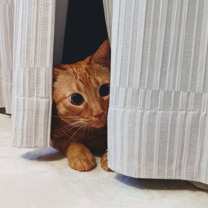 04b4e636 9930 4bc6 8e0c 6dfdd1bf5bea 1625027404759