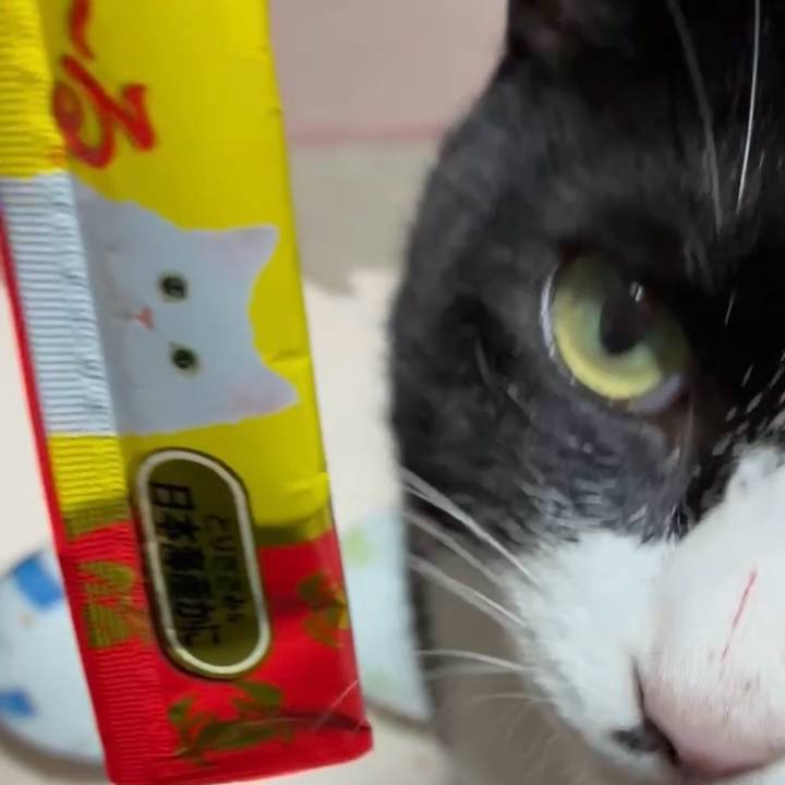 04b4fa3f 3325 4468 8d28 58a17eb782e0 1749893143667