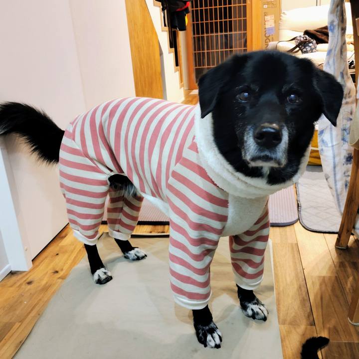 04b4ff16 8c7f 4a25 96c8 c2485f43e67e 1765591757099