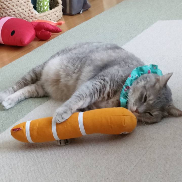 04b542a7 cbea 4148 b378 8ea993082806 1662610401790