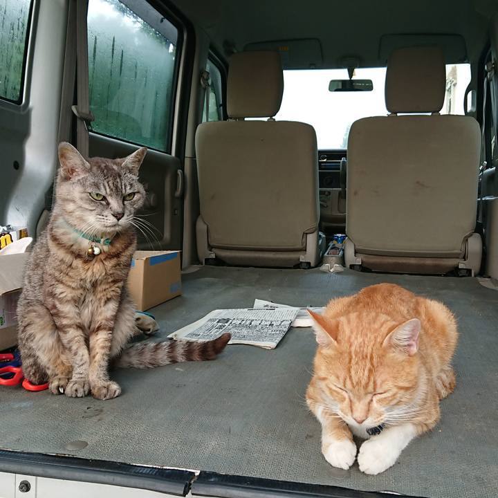 04b5434a 7ad7 4812 91d6 b57230010fbc 1566334564629