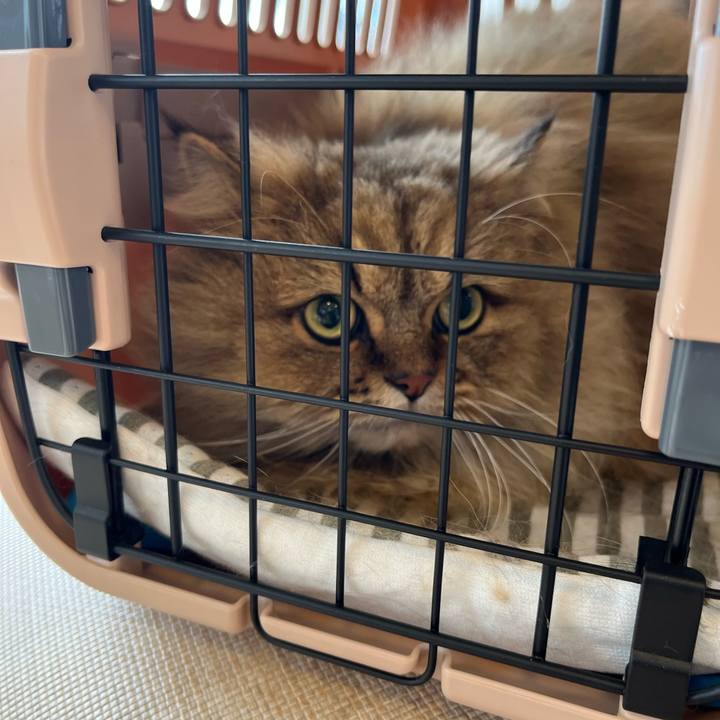 04b5ad3d 7445 4b81 8d25 de9d0006c7bc 1638597862291