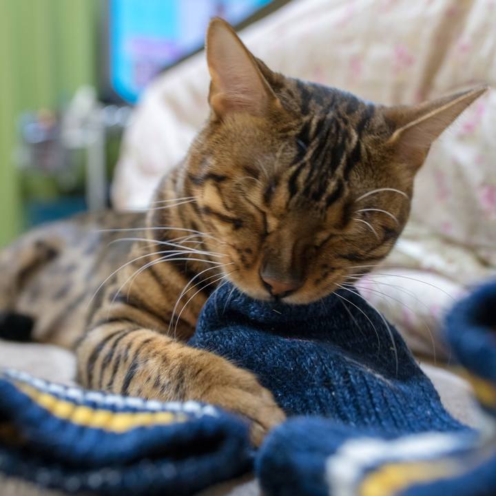 04b5d2fd 72eb 4c80 ac2f 7a6d4b5783a6 1519829800280