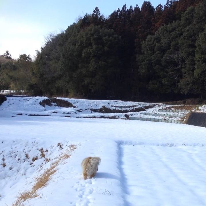 04b62314 5a33 4fd1 9b59 1c48a7859a98 1609973398198