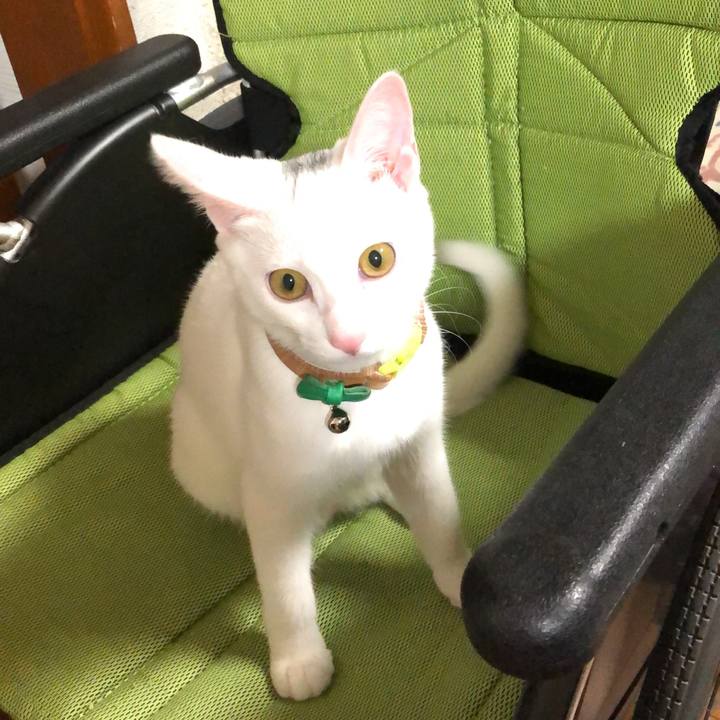 04b64eb1 380f 4321 9a0b c18476a84db7 1602795255796