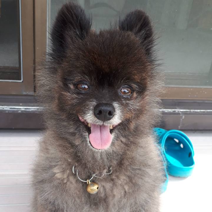 04b65028 9363 47a0 b452 71bfcd7c03a2 1563234643624