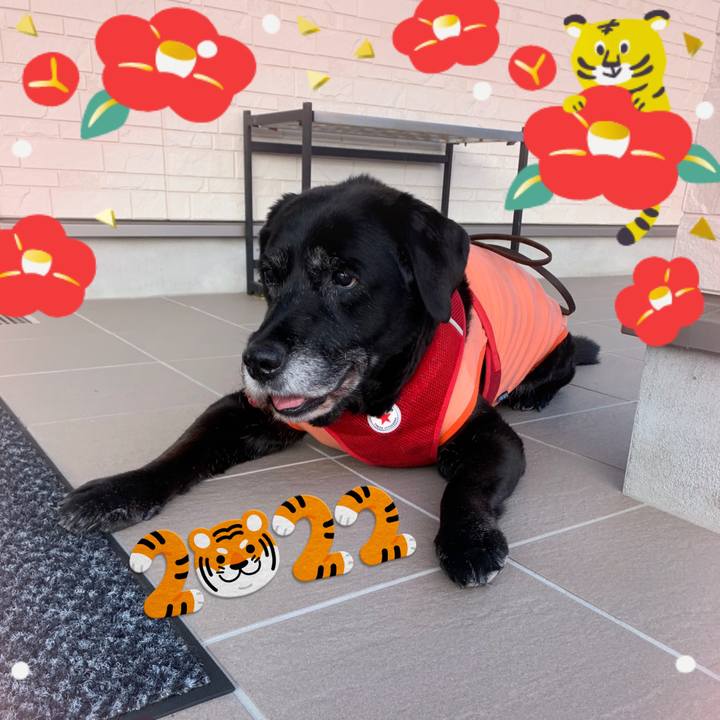 04b674f3 8012 40a3 b494 39c0293d6796 1641165108140