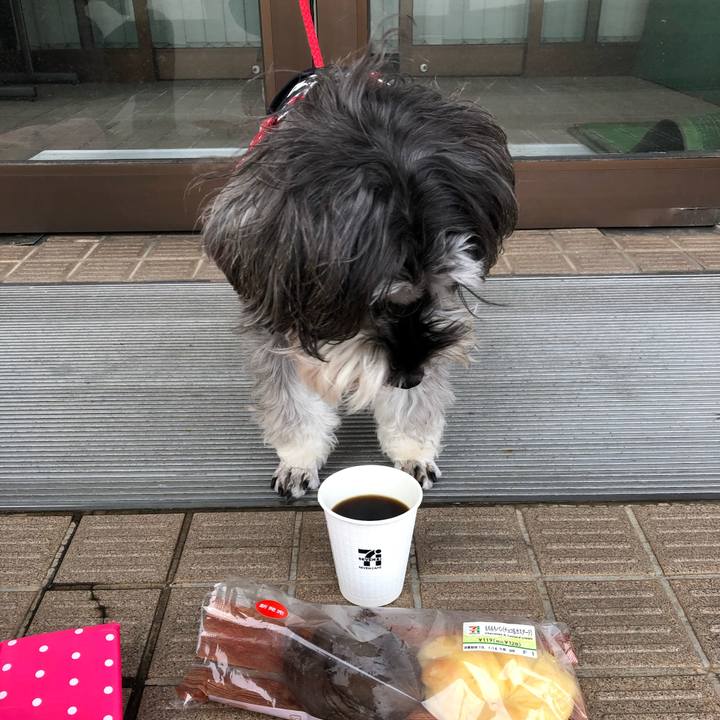 04b6775b 0df5 473a 9f71 26e1421ce6d9 1547306991834