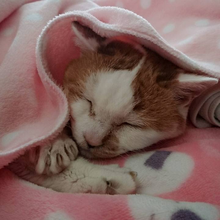 04b67ac0 d7ef 444d 9325 d5fa1efb8a26 1546317949643