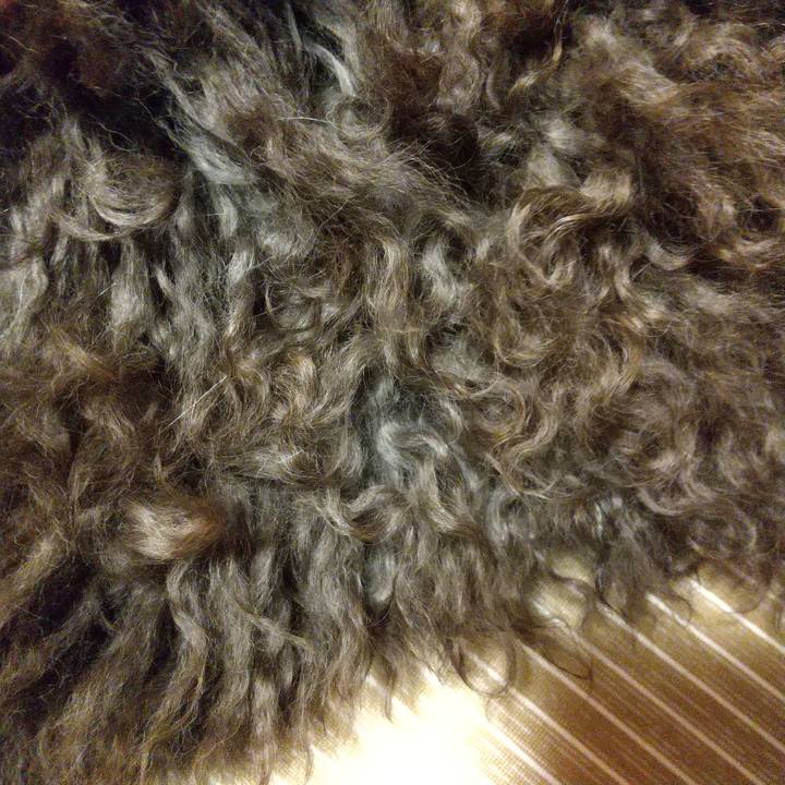 04b67e67 15e4 4bd2 b0d9 8a0873b09db3 1626518444725