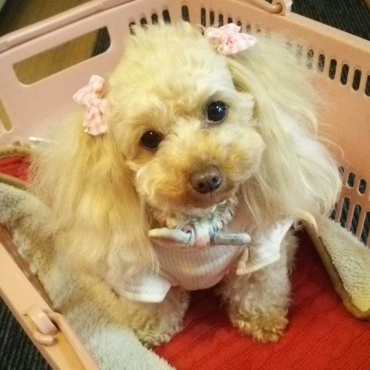 04b696ff 071f 4a12 9a95 1df59f674bed 1520499668358