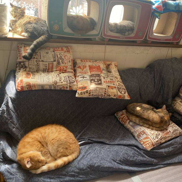 04b6de0e 49fc 4dfe 9861 32fb701fdc76 1648698529132