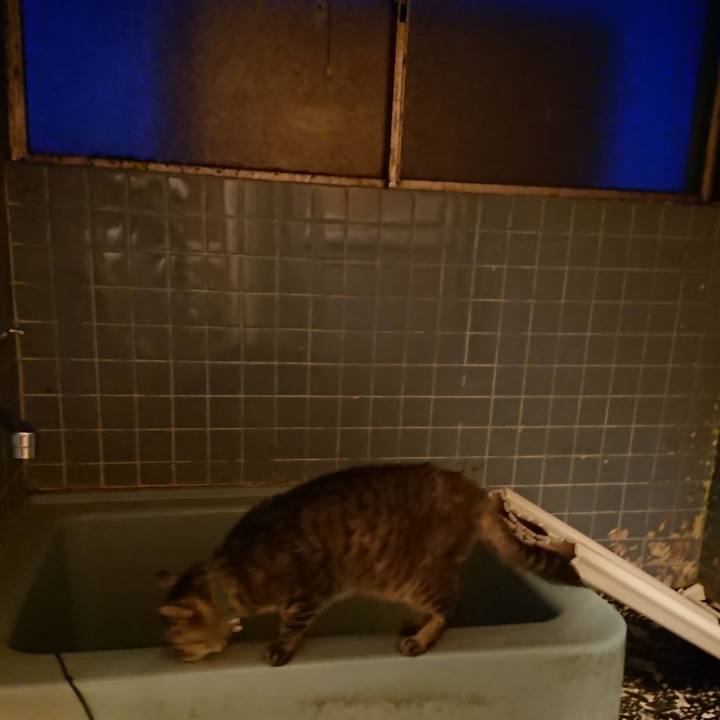 04b73374 2ad5 4d25 87dd bd7f3b5d8310 1572684541121