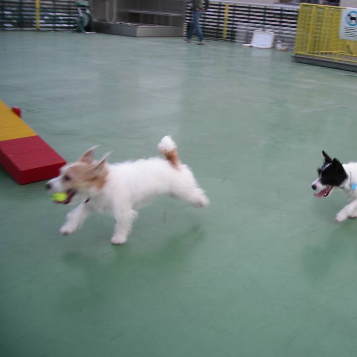 04b74e10 8001 4256 8606 359f62209b42 1575728282256