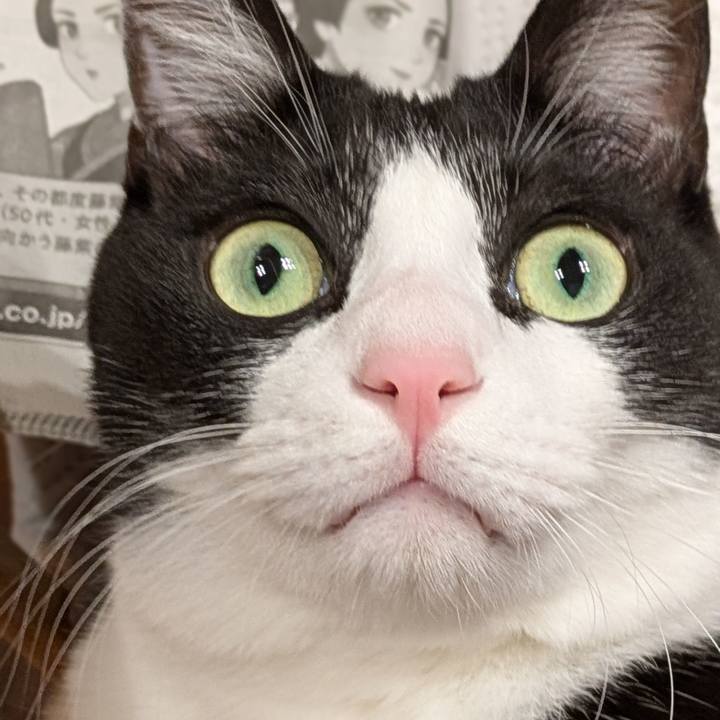 04b7512d 800a 4abb a5a1 f9ad9086d376 1762515041102