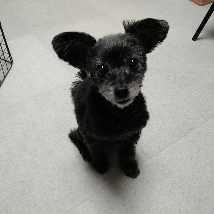 04b76826 977e 4ab7 86d4 107d9cd7ae35 1702205936787