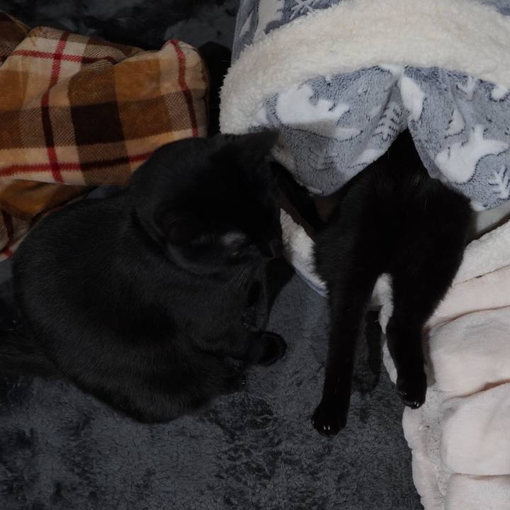 04b7775d aeb9 43fb b74a d005b6b512b2 1610529010132