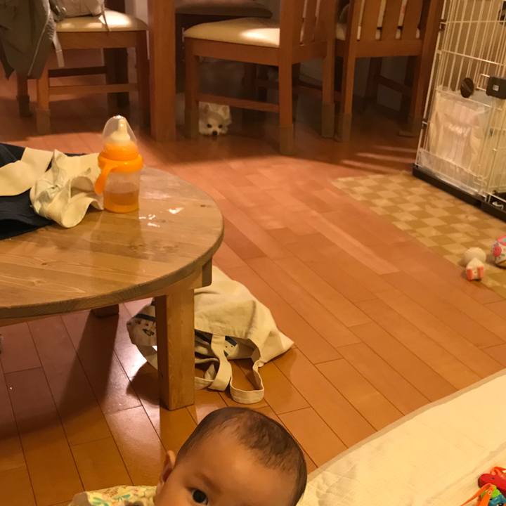 04b7a03c b9cc 4a2e 8c8a 61ab44b1a48b 1526396399032